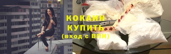 шишки Богородицк